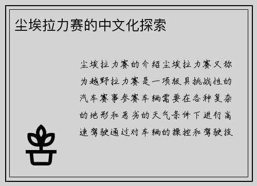 尘埃拉力赛的中文化探索
